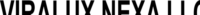 VIRALUX NEXA LLC